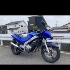 Kawasaki ZZR250