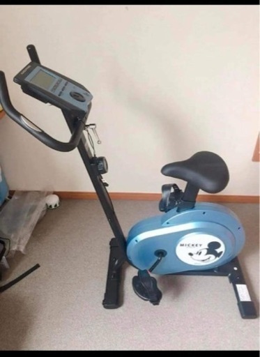 アルインコ(ALINCO) フィットネスバイクモデル DSY6219 ディズニー