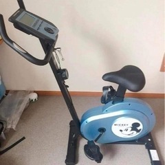 アルインコ(ALINCO) フィットネスバイクモデル DSY62...