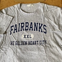 ＷＥGＯ　Tシャツセット Ｌサイズの画像