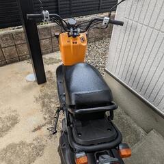 HONDA ズーマー AF58の画像