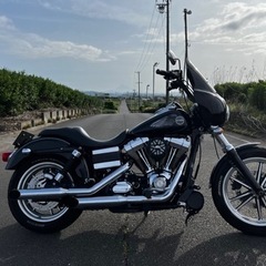 静岡周辺でHarley-Davidson or アメリカン乗り友達募集