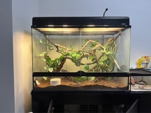 【ＧＥＸ　エキゾテラ】　グラステラリウム 9060   コンパクトトップ９０　４灯式　爬虫類　ライト　紫外線灯　ＵＶ灯　本体