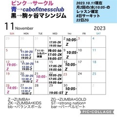 名もなきサークルNAMONAKIサークル11月スケジュール