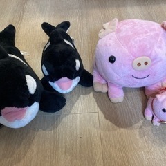 ぬいぐるみ　鴨シーシャチ　親子、マザー牧場　豚親子