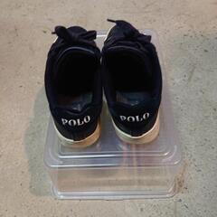 ポロラルフローレン スニーカーの画像