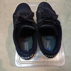 ポロラルフローレン スニーカーの画像