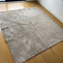 29日限定　ニトリ　ラグ　Nクリーンウォッシュ　LBE