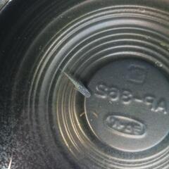 10/29めだか販売。の画像