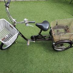 三輪車🚴‍♀️お話し中😌🌸
