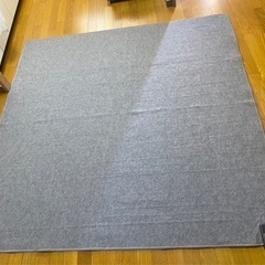 美品【使用時期3ヶ月】ホットカーペット　二畳用