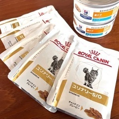 キャットフード(下部尿路疾患)決まりました！