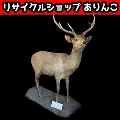 鹿 剥製 親鹿 10才 全長約2m 昭和61年 手渡し限定 m10057