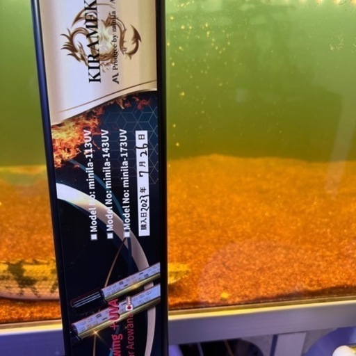 でんらい アロワナ水中LEDライト 金龍専用120cm水槽用 水中ライト 煌 120