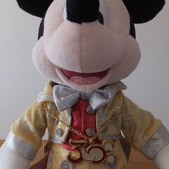 東京ディズニーリゾート　３０周年　ミッキーマウス　ぬいぐるみの画像