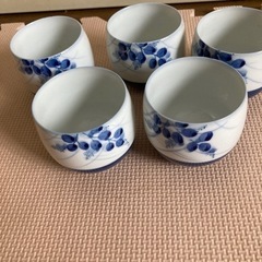 湯呑み茶碗　５個セット