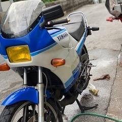 RZ250RRの画像