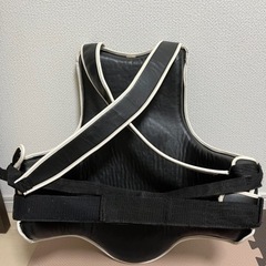 ボディガード　ISAMlの画像