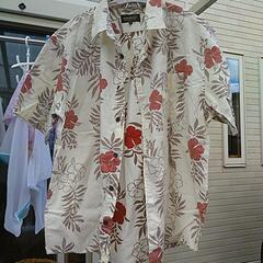 メンズ 服  Eddie Bauer