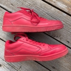 25cm VANSの画像