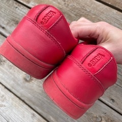 25cm VANSの画像