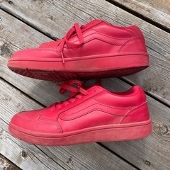 25cm VANSの画像
