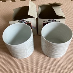 白　薄い　軽い　カップ