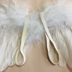 赤ちゃんフォト用の羽の画像