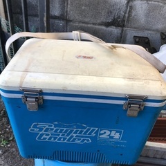 保冷ボックス　保冷剤入