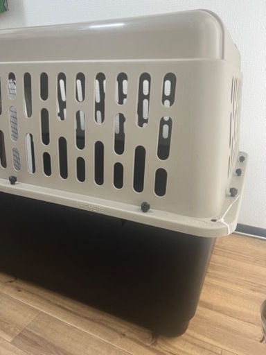 ゲージ　大型犬用　海外輸送可能サイズ