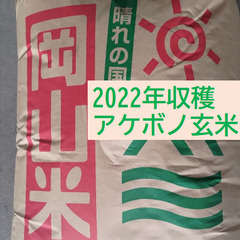 ★完了★【古米：２０２２年収穫】アケボノ１等玄米（３０ｋｇ３袋：...