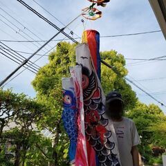 鯉のぼり(150cm)とスタンドのセット　美品