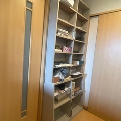 薄型本棚