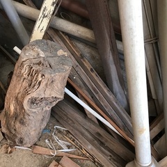 廃材　流木　木　ウッドカーペット　竹の画像