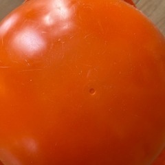ビリボ(Bilibo)の画像