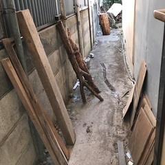 廃材　流木　木　ウッドカーペット　竹の画像