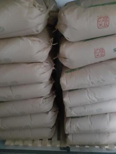 令和５年新米福島のお米コシヒカリ