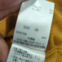 レディース　服　イエロー　ニット　秋冬の画像