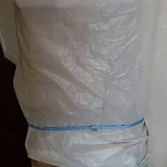 ハシゴ 踏み台 SE-8W ホワイト 軽量踏み台 3段 79cm 長谷川工業 hasegawa ★未使用★　☆値引き交渉可☆☆の画像