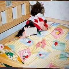あげます。2段ベッド　大人になっても使えるの画像