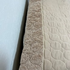 (取引確定)毛足長めの毛布(セミダブル)を譲りますの画像