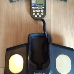 オムロン　体重体組成計カラダスキャン 体重計 HBF-357の画像