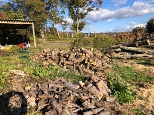 ナラ原木　玉切り