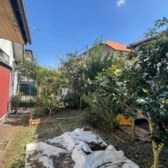 草刈り伐採実践多数✨どこよりも迅速に低価格で致します‼️ - 霧島市