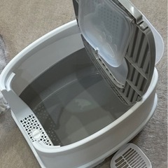 猫　トイレの画像