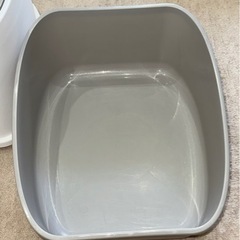 猫　トイレの画像