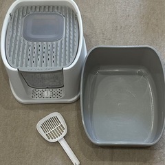 猫　トイレの画像