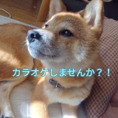 本日12月日7日カラオケ🎤できる方？！