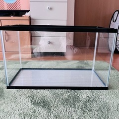 【受付終了】60センチ　水槽　0円の画像