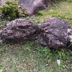 庭石の画像